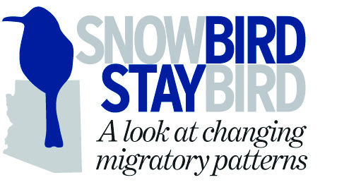 Snowbird staybird